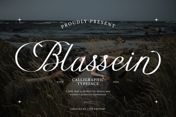 Blassein: The Font That Elevates Your Campaigns