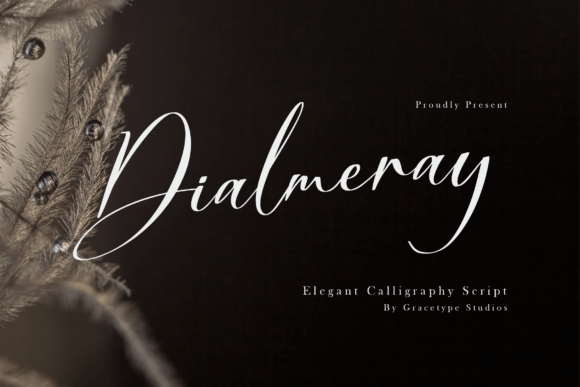 Enhance Your Brand with Dialmeray Script Font
