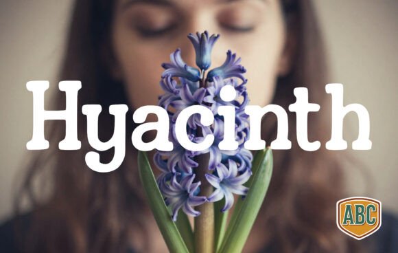 Hyacinth: A Timeless Handwritten Font for Branding and Design